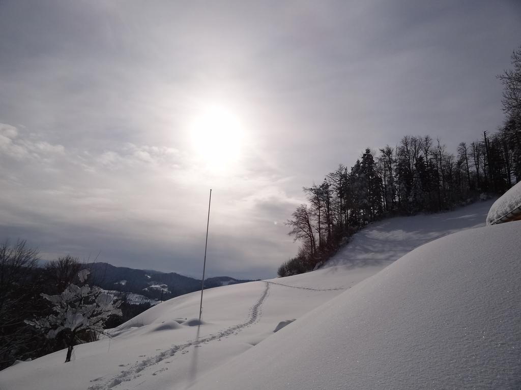 Sternenberg Haus Am Sternsberg 빌라 외부 사진