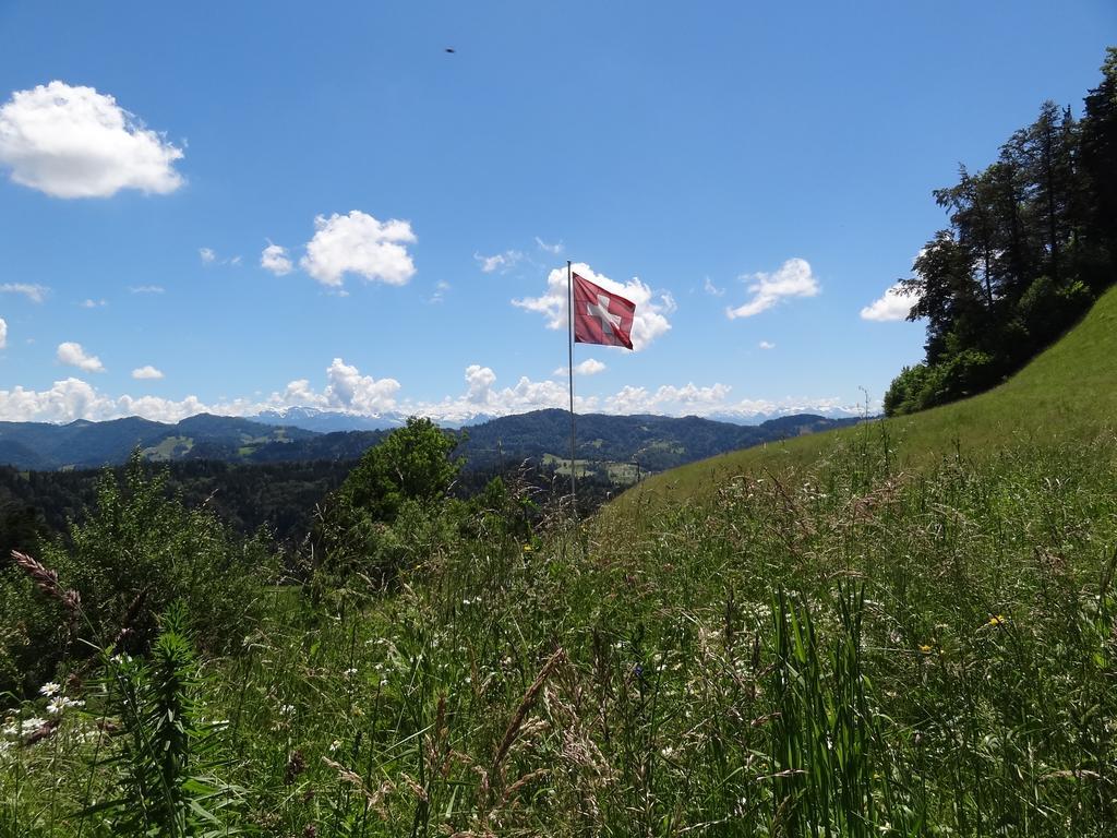 Sternenberg Haus Am Sternsberg 빌라 외부 사진